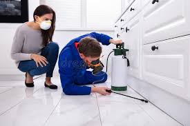 Best Indoor Pest Control  in Deerfield, MI