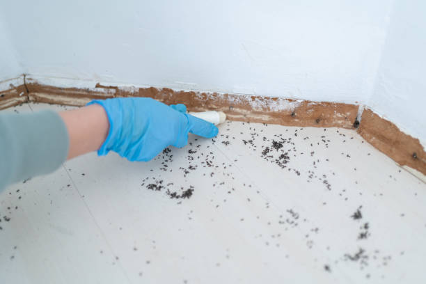 Best Residential Pest Control  in Deerfield, MI